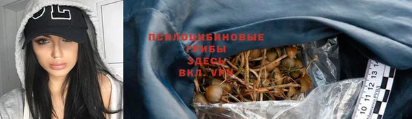 шишки Нефтекумск