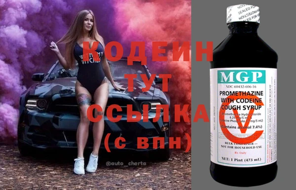 индика Нефтегорск