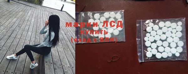 индика Нефтегорск