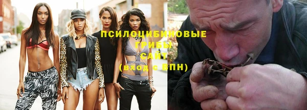 шишки Нефтекумск
