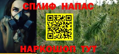 мдпв Краснознаменск