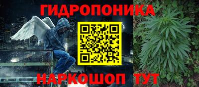 прущие грибы Балашиха