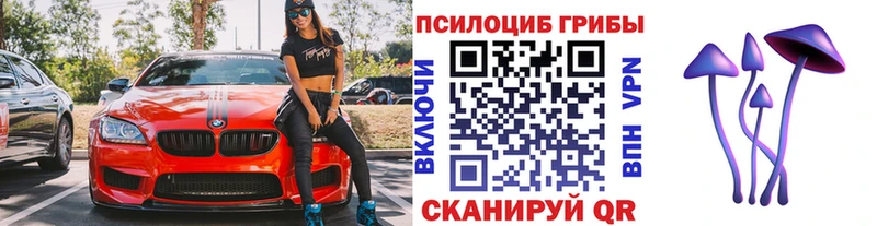 Псилоцибиновые грибы Cubensis наркотики Ртищево