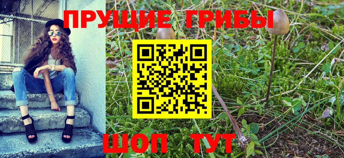 Псилоцибиновые грибы мухоморы  Ртищево  Галлюциногенные грибы GOLDEN TEACHER 
