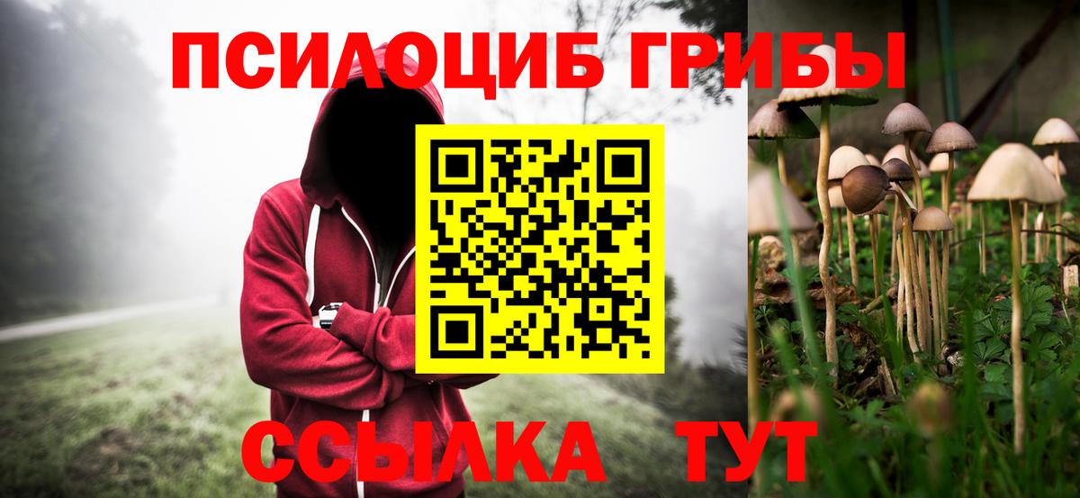 Ртищево  Псилоцибиновые грибы ЛСД  Вход с VPN 
